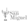 Instituto-san-miguel-gris